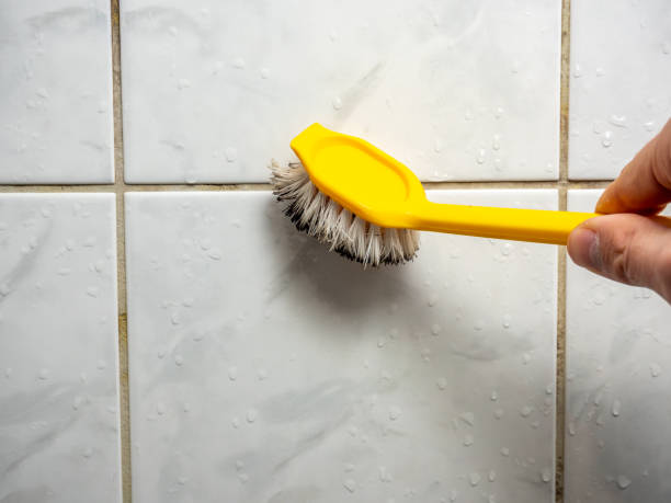 Best Emergency Mold Removal  in Fox Chapel, PA