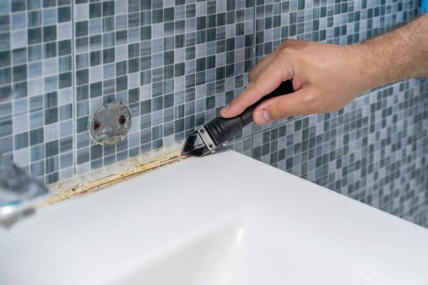 Certified Mold Removal in Fox Chapel, PA
